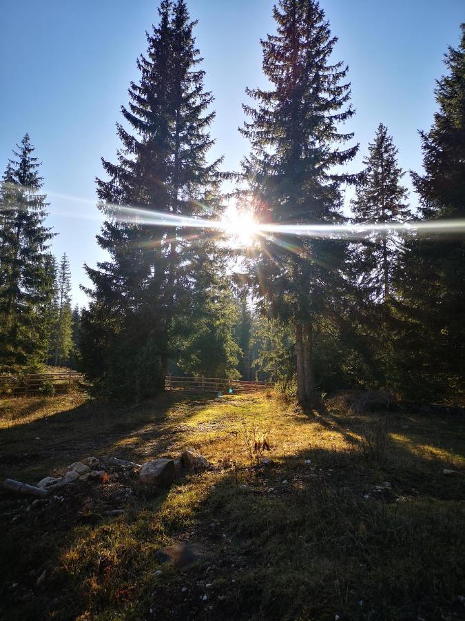 Snowhite Jahorina Villa Buitenkant foto