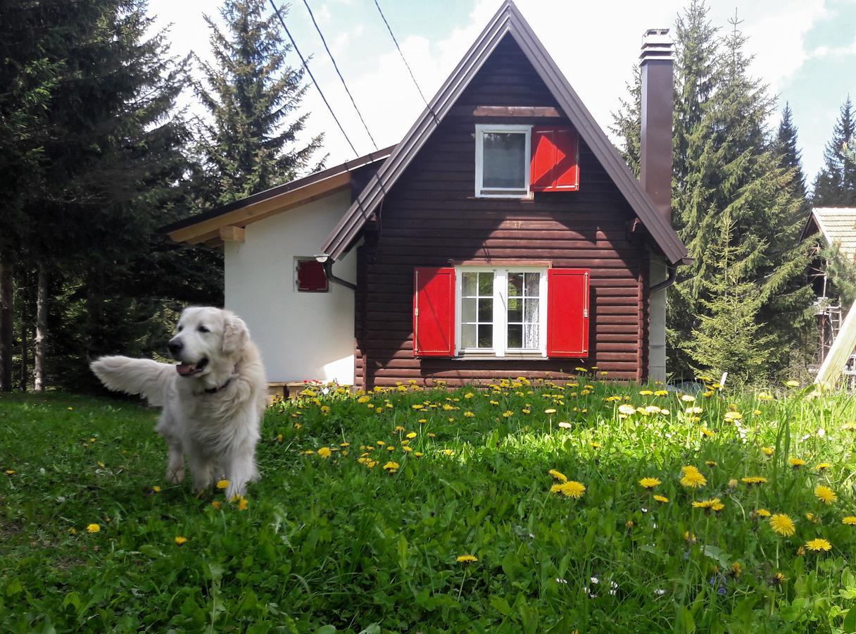 Snowhite Jahorina Villa Buitenkant foto